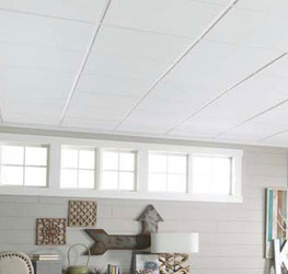 Acoustic Ceilings