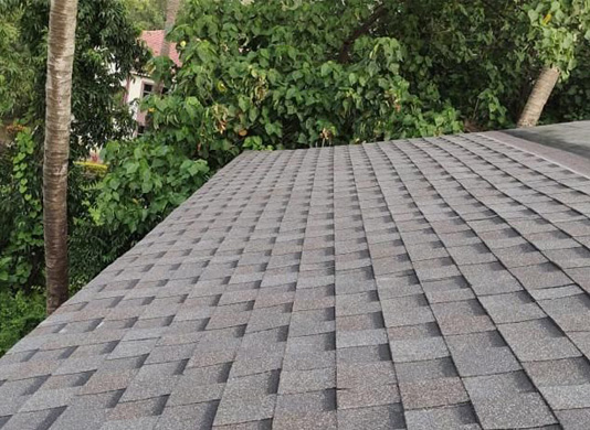 Roof Shingles