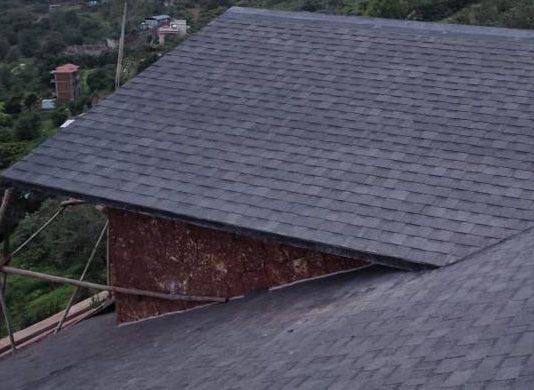 Roof Shingles